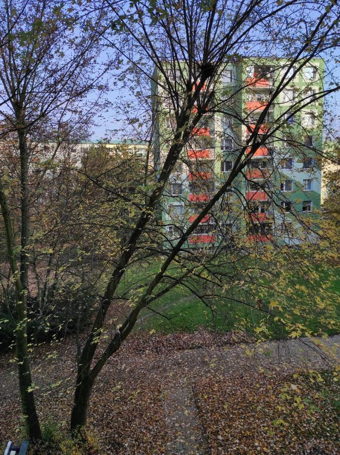 Stiborka Apartman Alamóc Kültér fotó